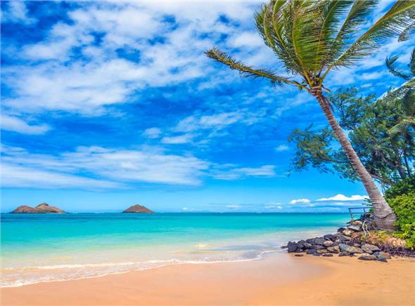 Tour Du Lịch Hawaii - Tiểu Bang Của Hoa Kỳ
